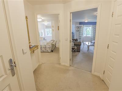 Picture 11